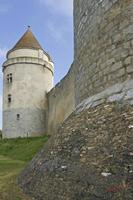 Cjp_2010_05_28_080247 (2).jpg